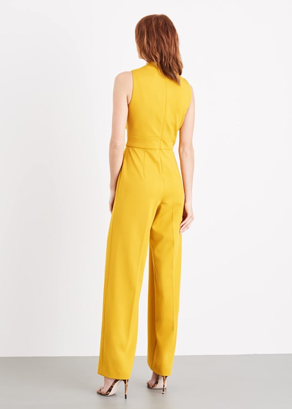 Tyna Neck Tie Jumpsuit
