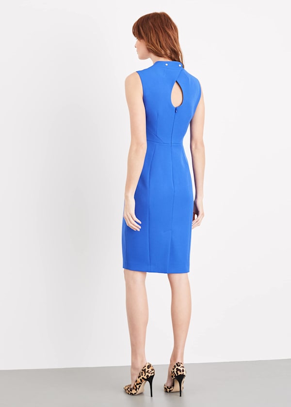 Trini Fitted Dress
