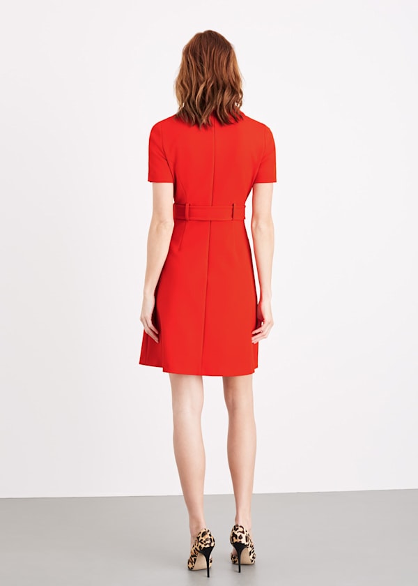 Renu Button Dress