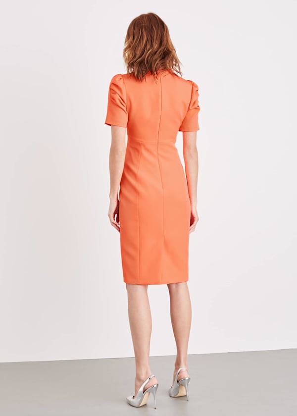 Ella-Mai Fitted Dress