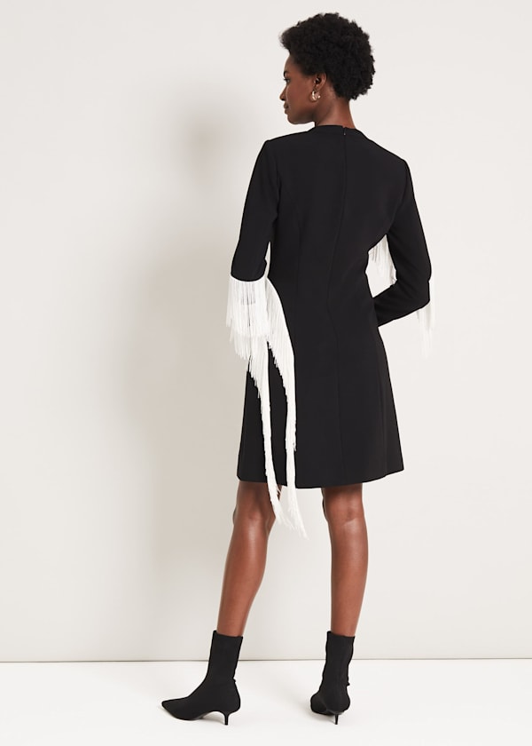 Abline Fringe Dress