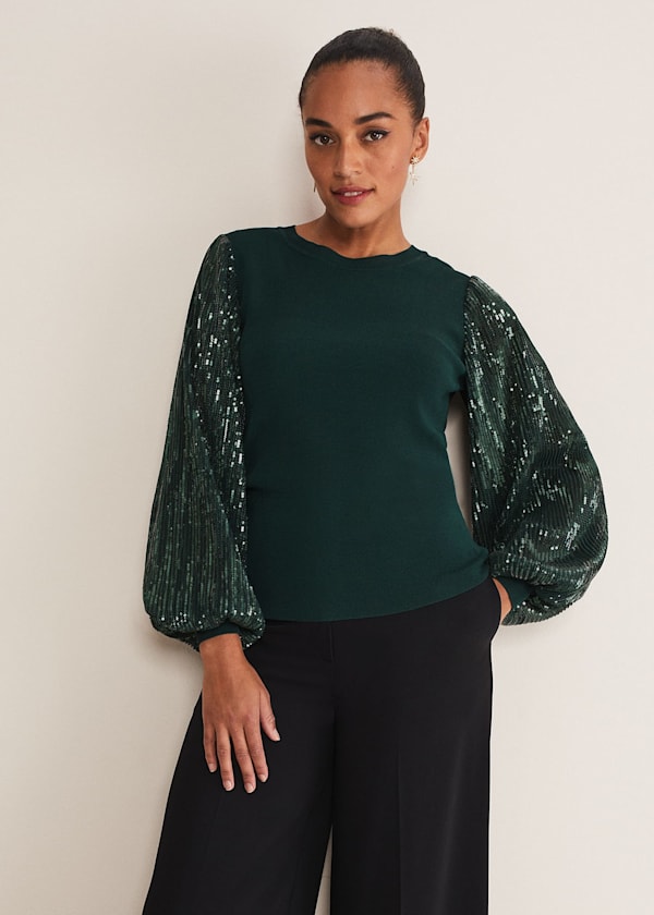 Everley Sequin Sleeve Top