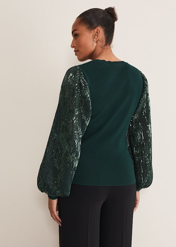 Everley Sequin Sleeve Top