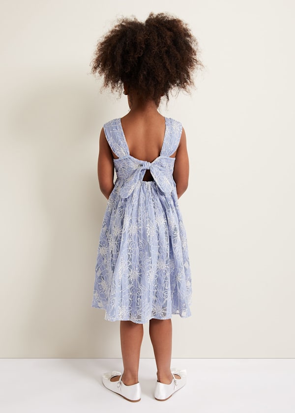 Amelia Embroidered Dress