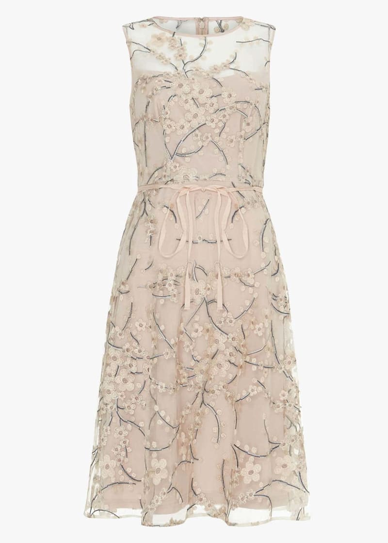 Phase eight deals dresses myer