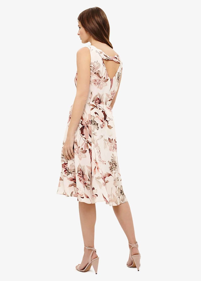 Phase eight cilla print cheap dress