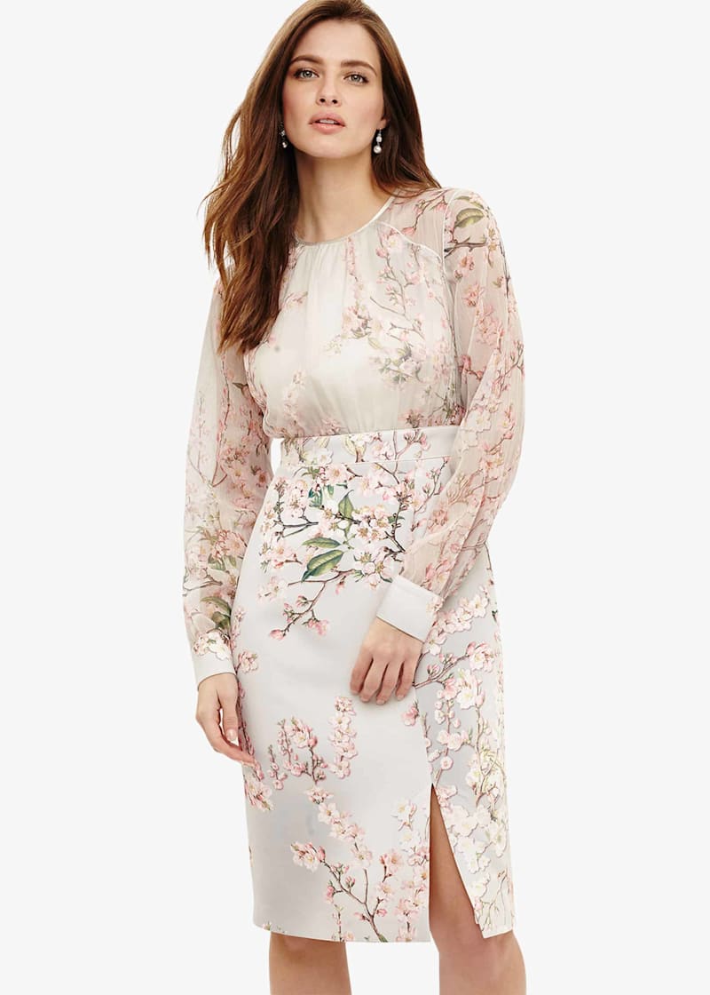 Nissa Floral Dress | Phase Eight UK |