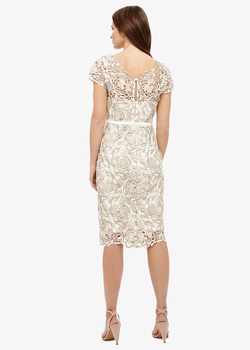 Phase eight frances dress best sale