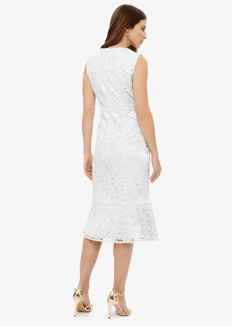 Phase eight jemime lace dress cheap