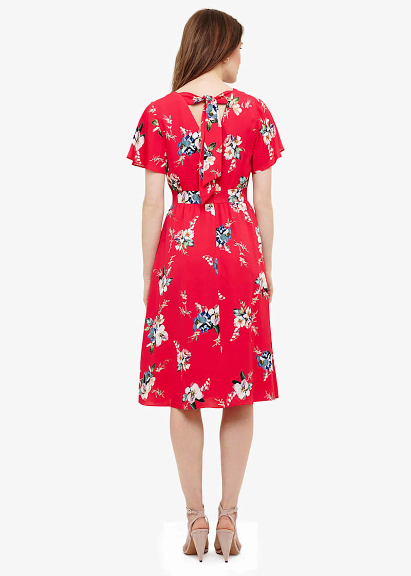 Phase eight alexandra dress cheap