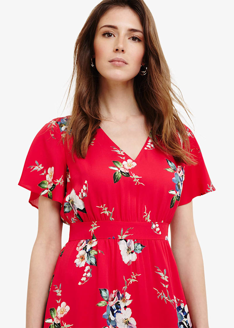Phase eight alexandra dress cheap