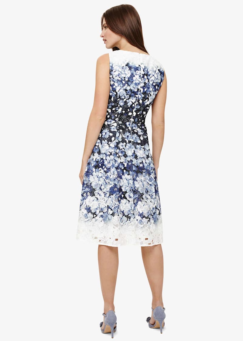 Phase eight angela lace dress store