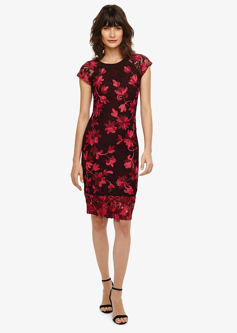 Chrissy Tapework Lace Dress | Phase Eight UK |