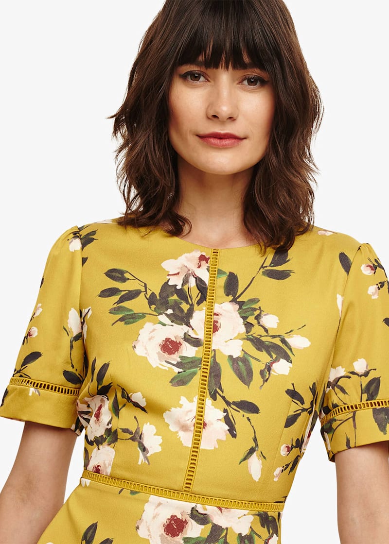 Phase eight top hilary dress