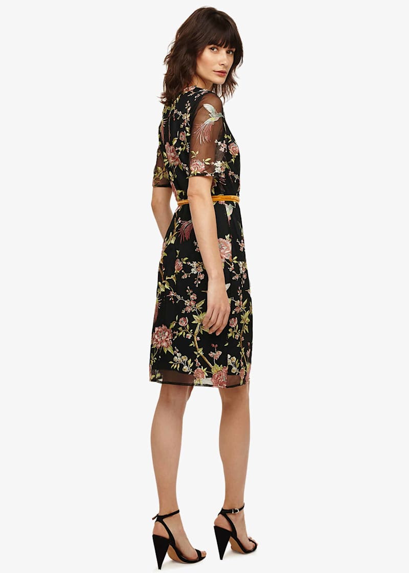 Phase eight hot sale farryn dress