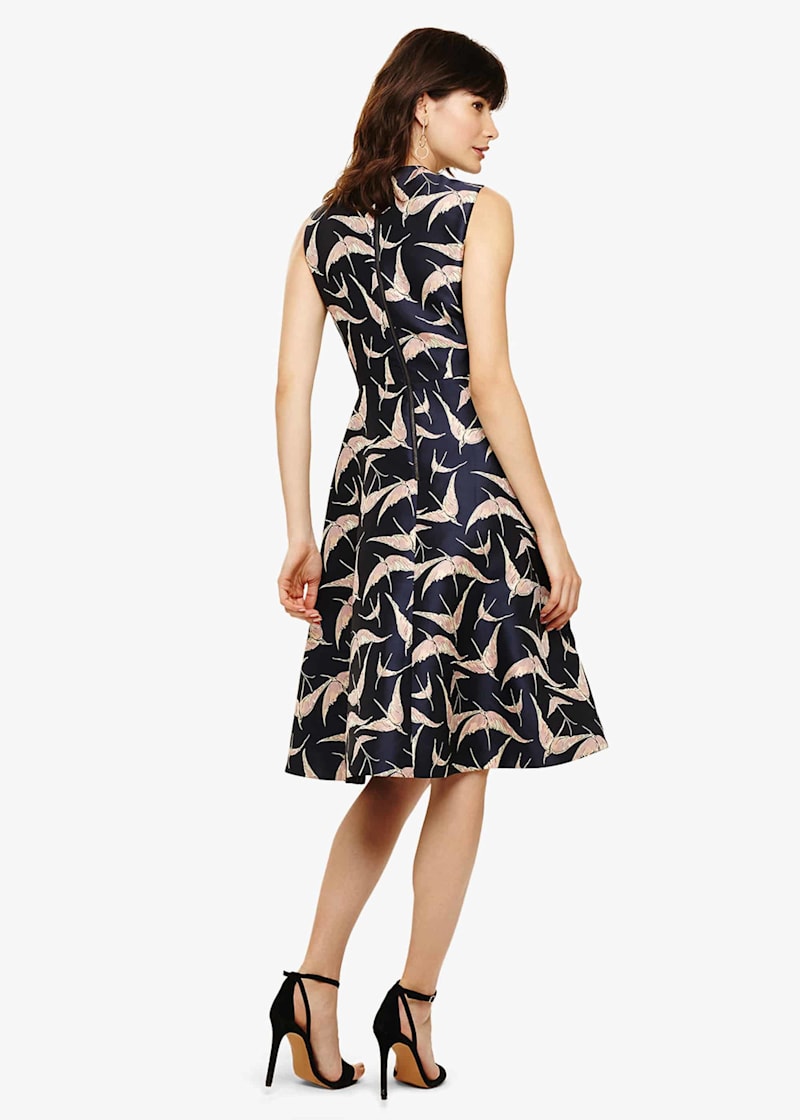 Phase eight delphine dress on sale