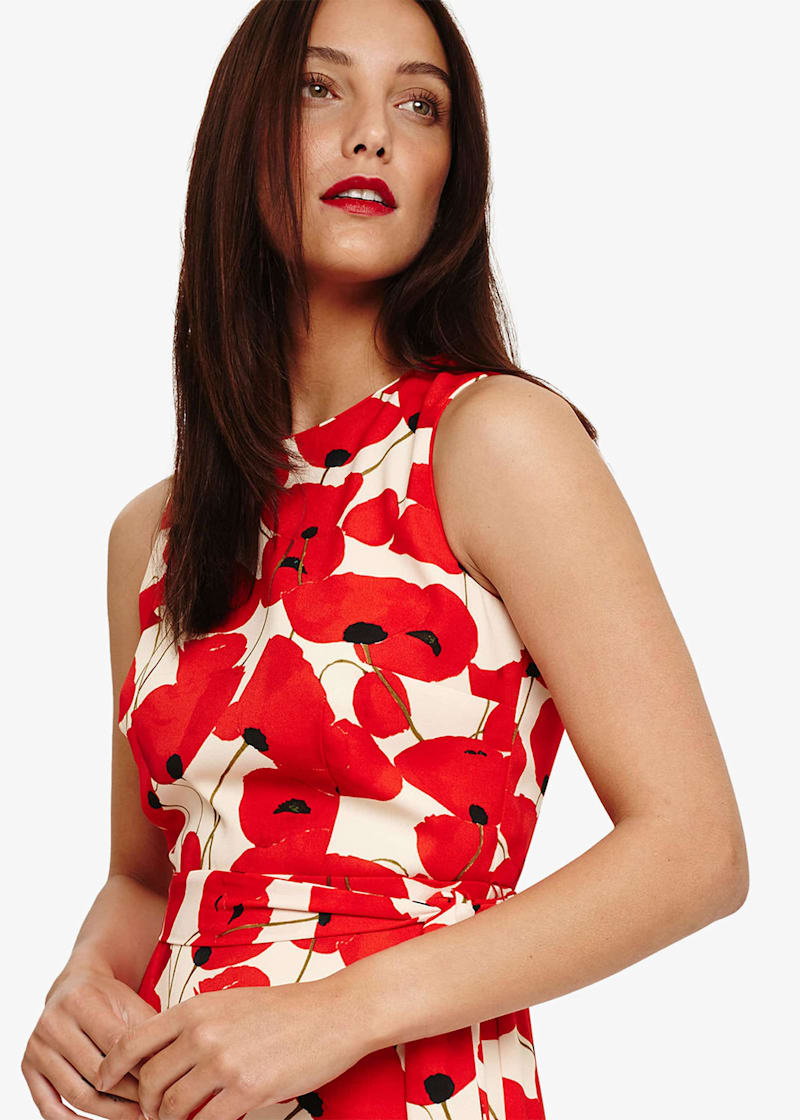 Phase eight discount dorothy frill dress