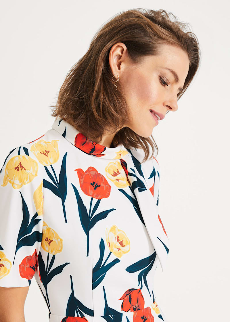 Phase eight melinda dress shop