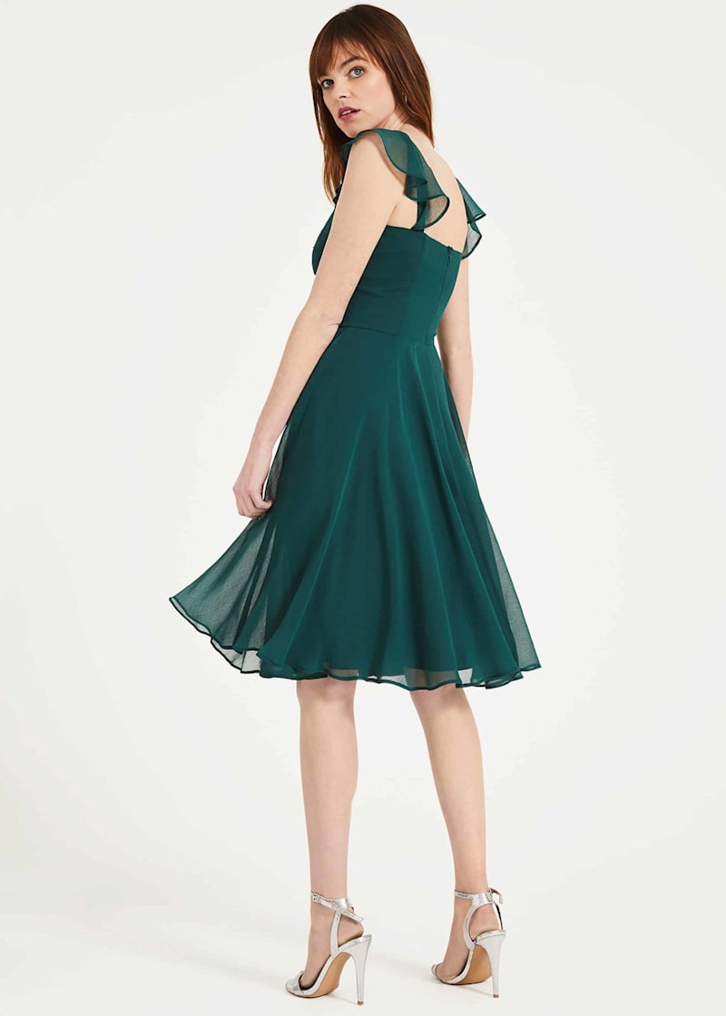 Coast imana midi best sale dress