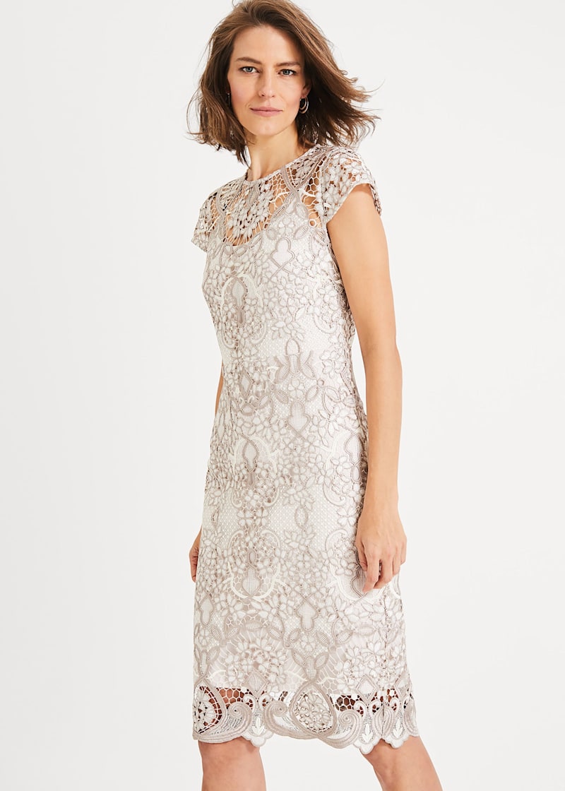 Phase eight frances dress on sale