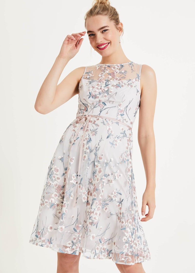 Phase eight maddie top dress