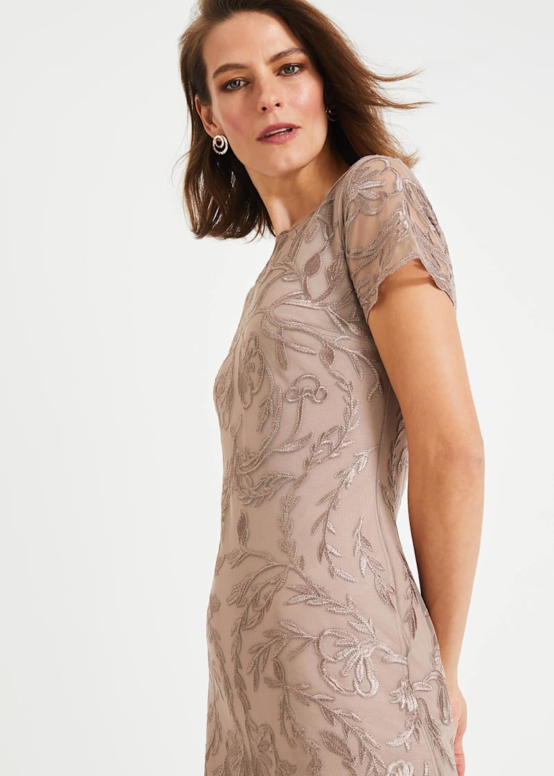 Phase eight fodula embroidered dress hotsell