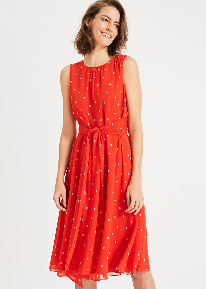 Fernanda spot dress cheap phase eight