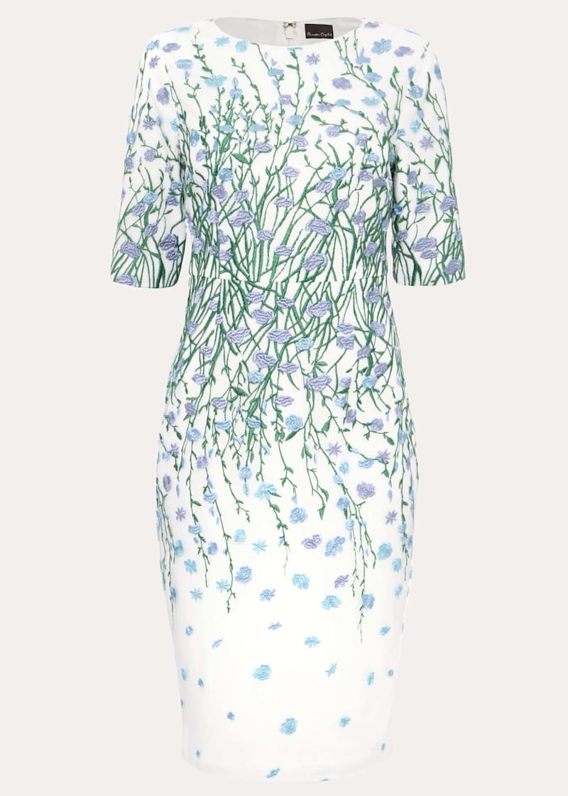 Phase eight julie dress top