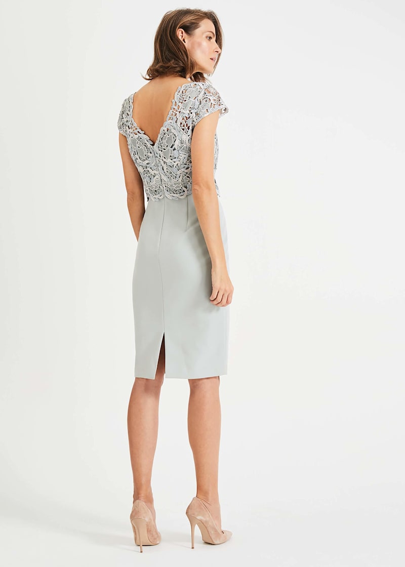 Phase eight charlotte lace dress top