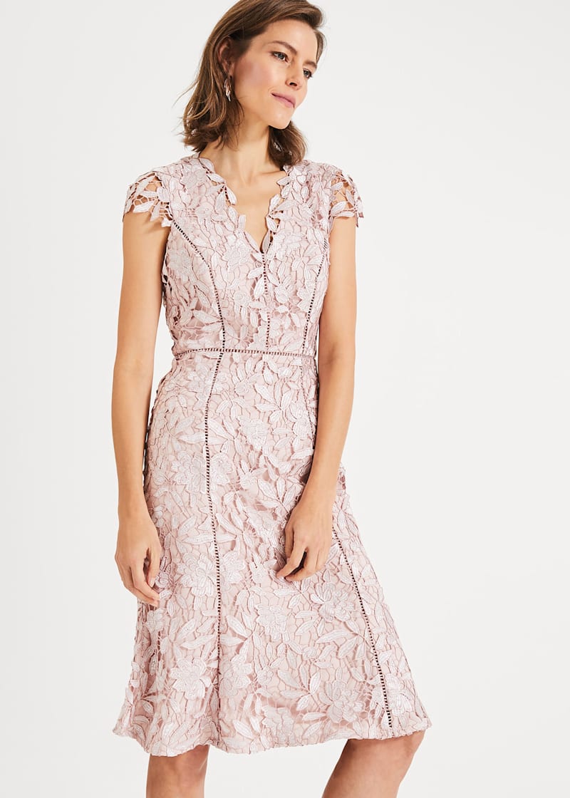 Phase eight petals lace dress store