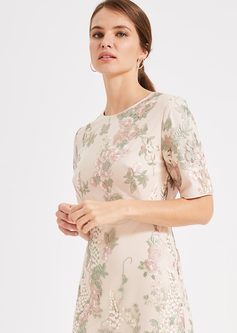 Phase eight fern lace dress online