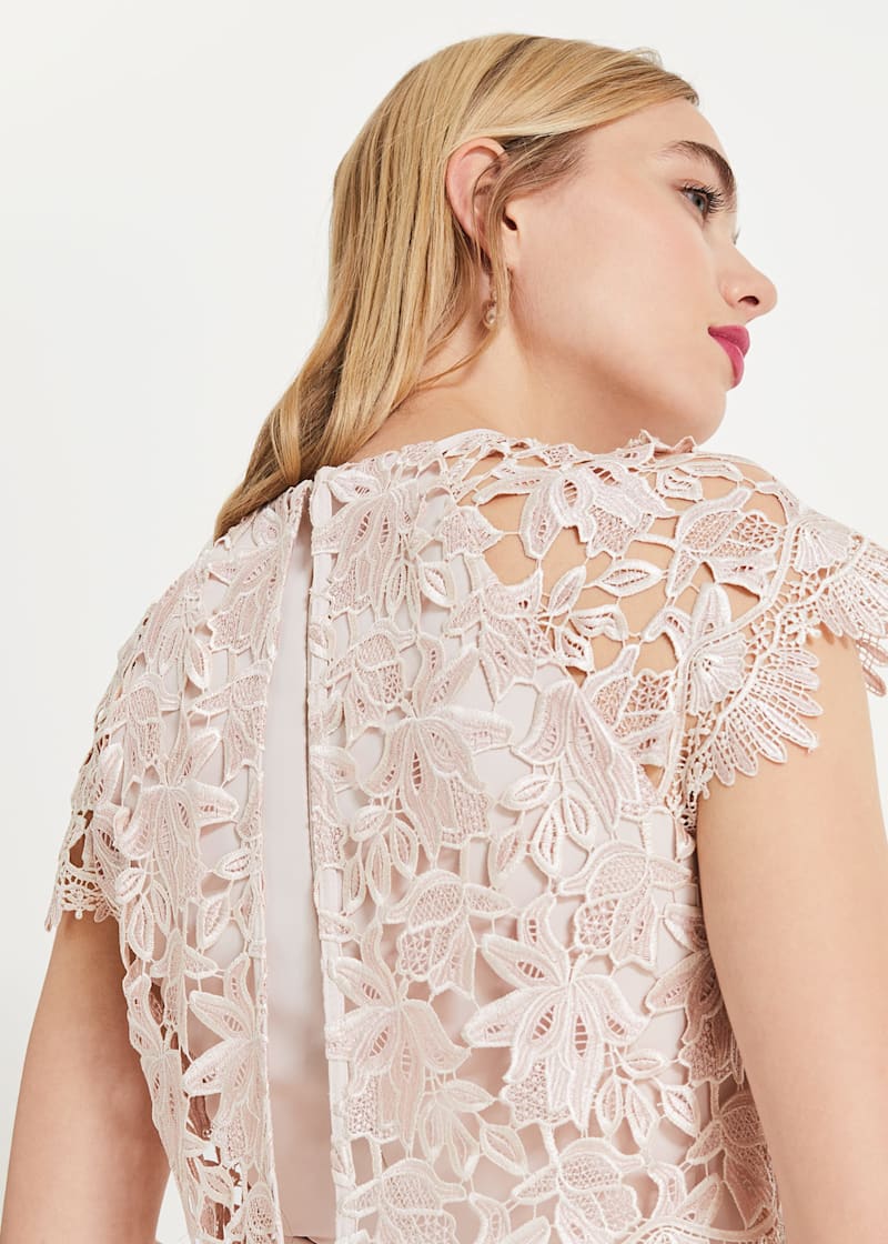 Phase eight lace jumpsuit sales