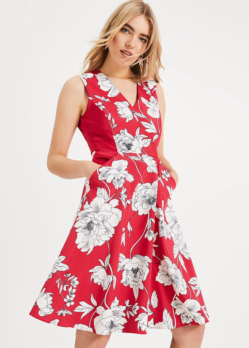 Eve Floral Fit & Flare Dress | Phase Eight UK