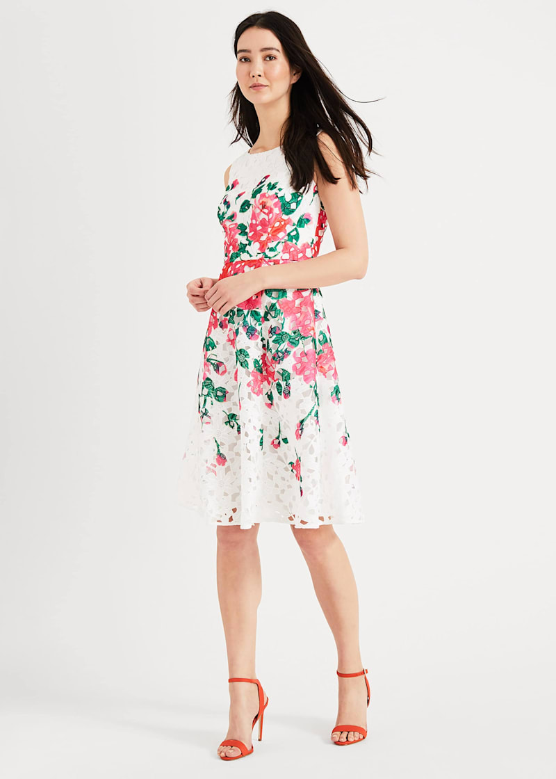 Phase eight lottie lace dress sales
