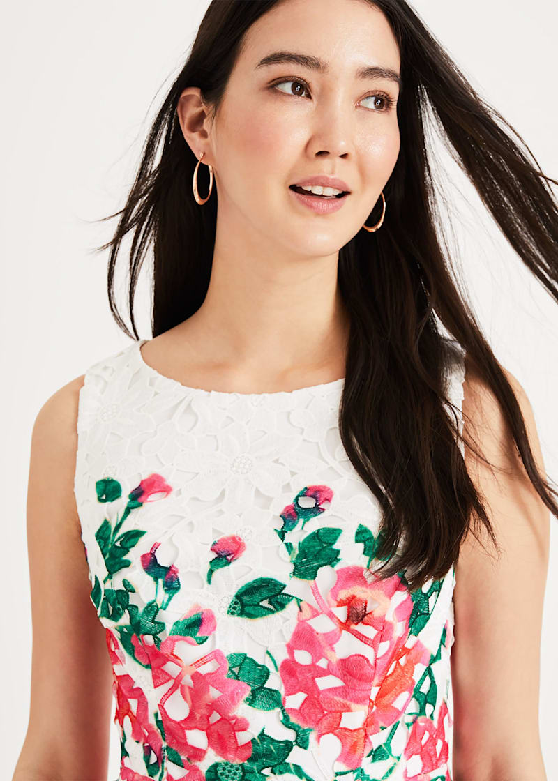 Phase eight janette lace dress clearance