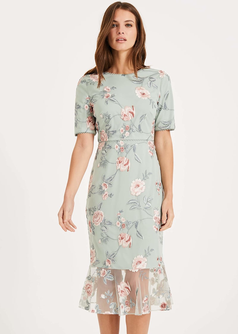 Phase eight peppermint dress store