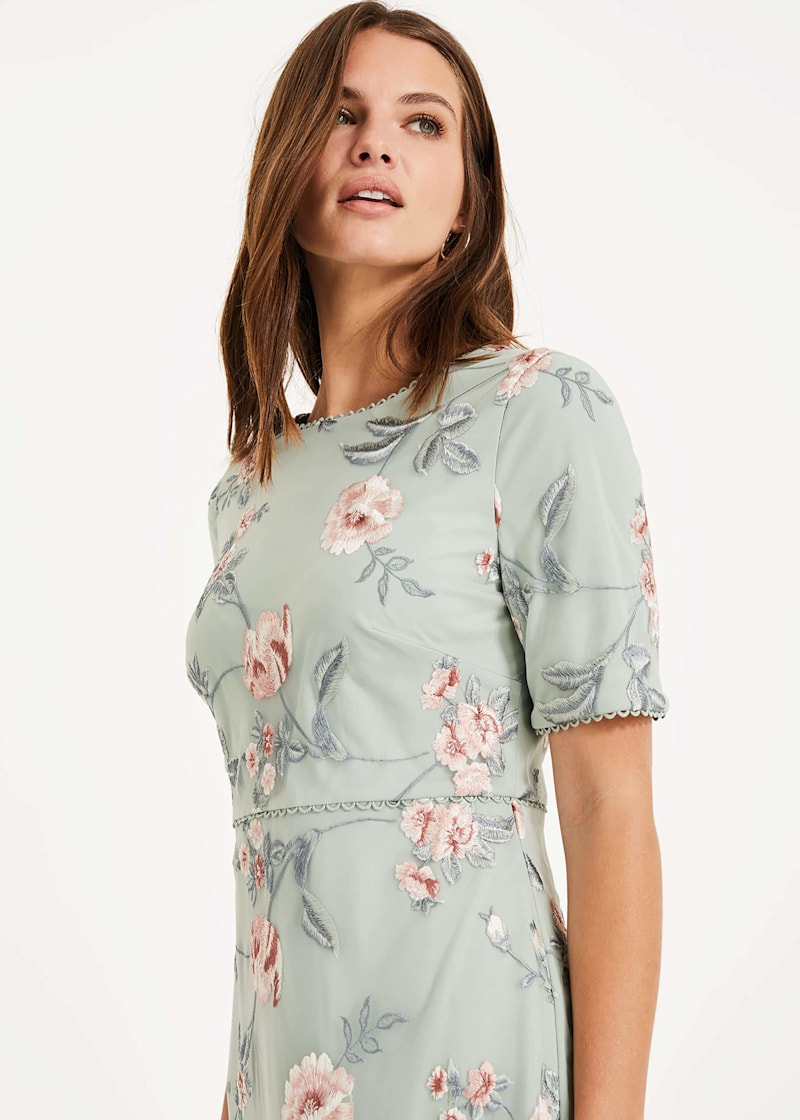 Phase eight peppermint clearance dress
