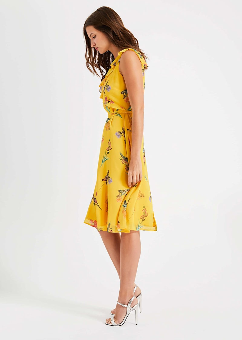 Phase eight joss dress clearance