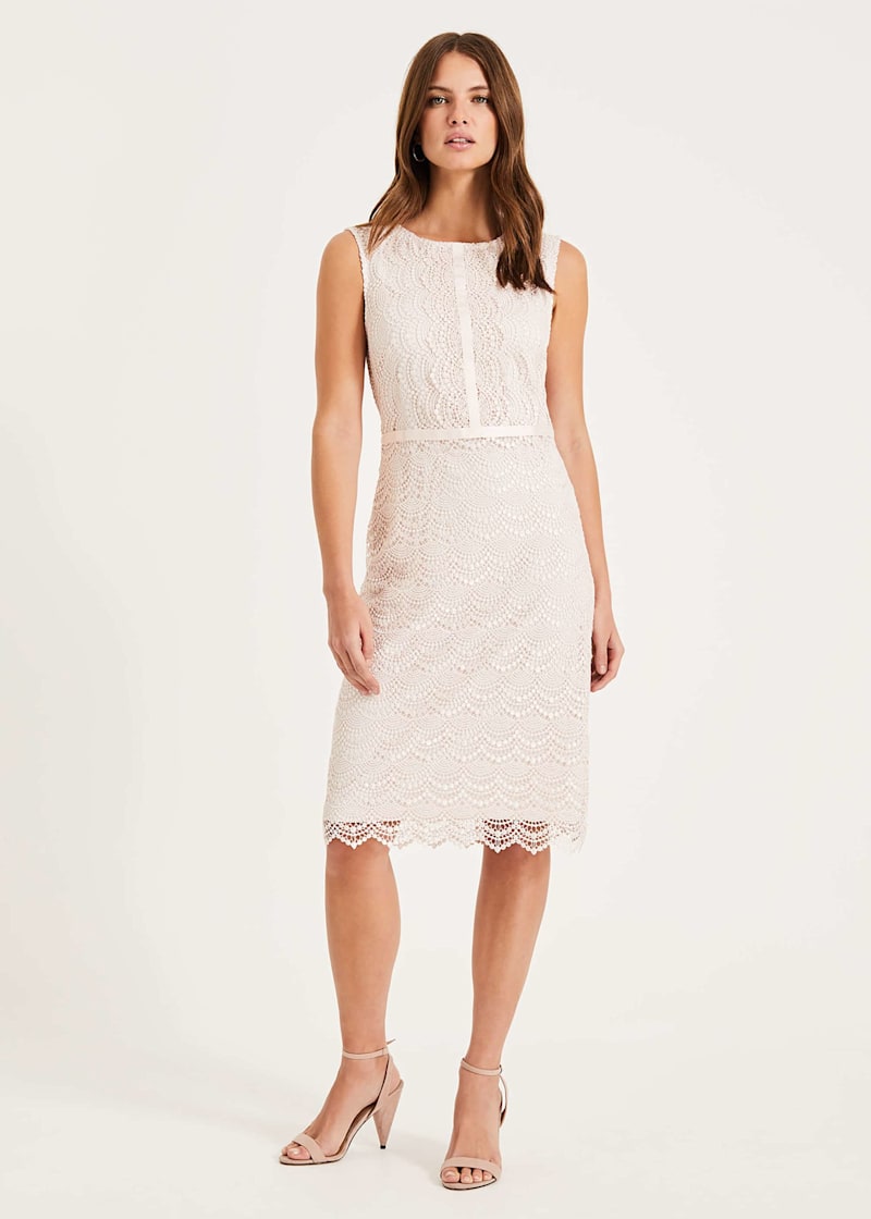 Phase eight pink amaya lace dress outlet