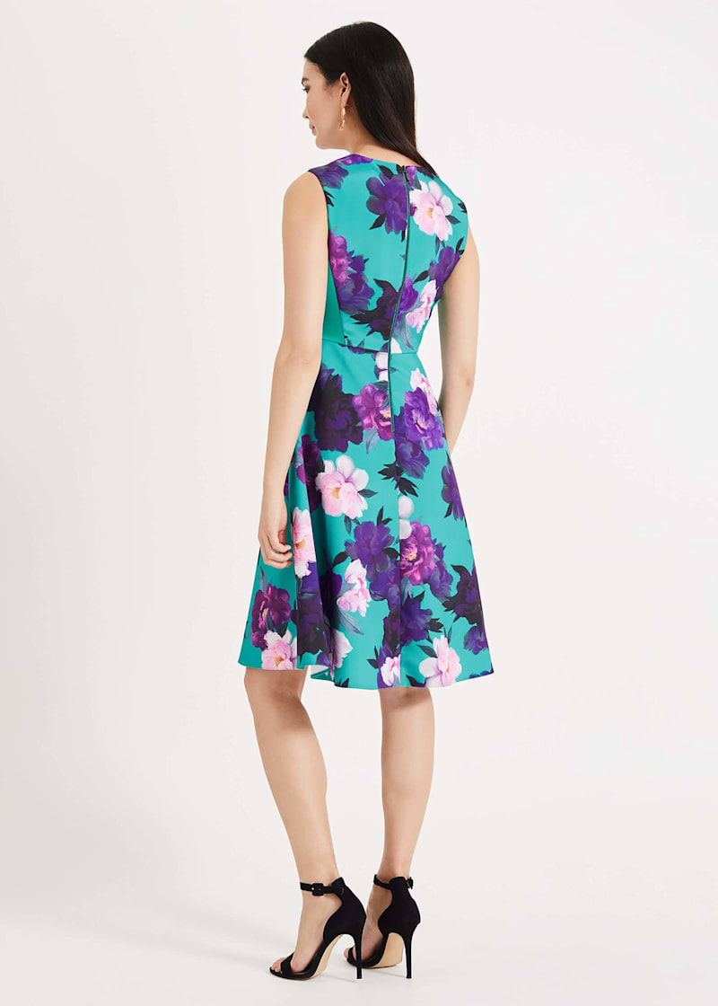 Phase eight elba dress cheap