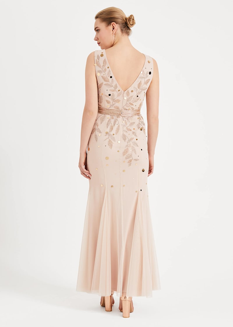 Phase eight florence dress 2025