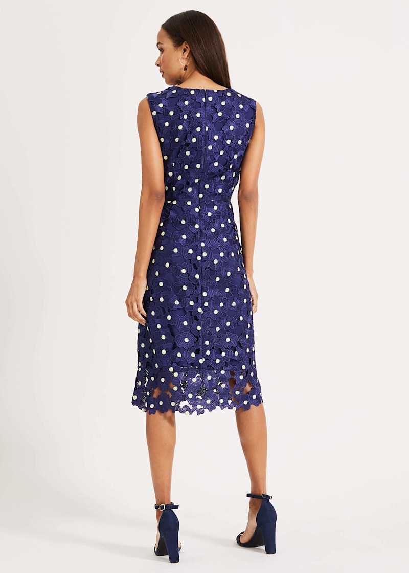 Phase eight fran lace dress sales
