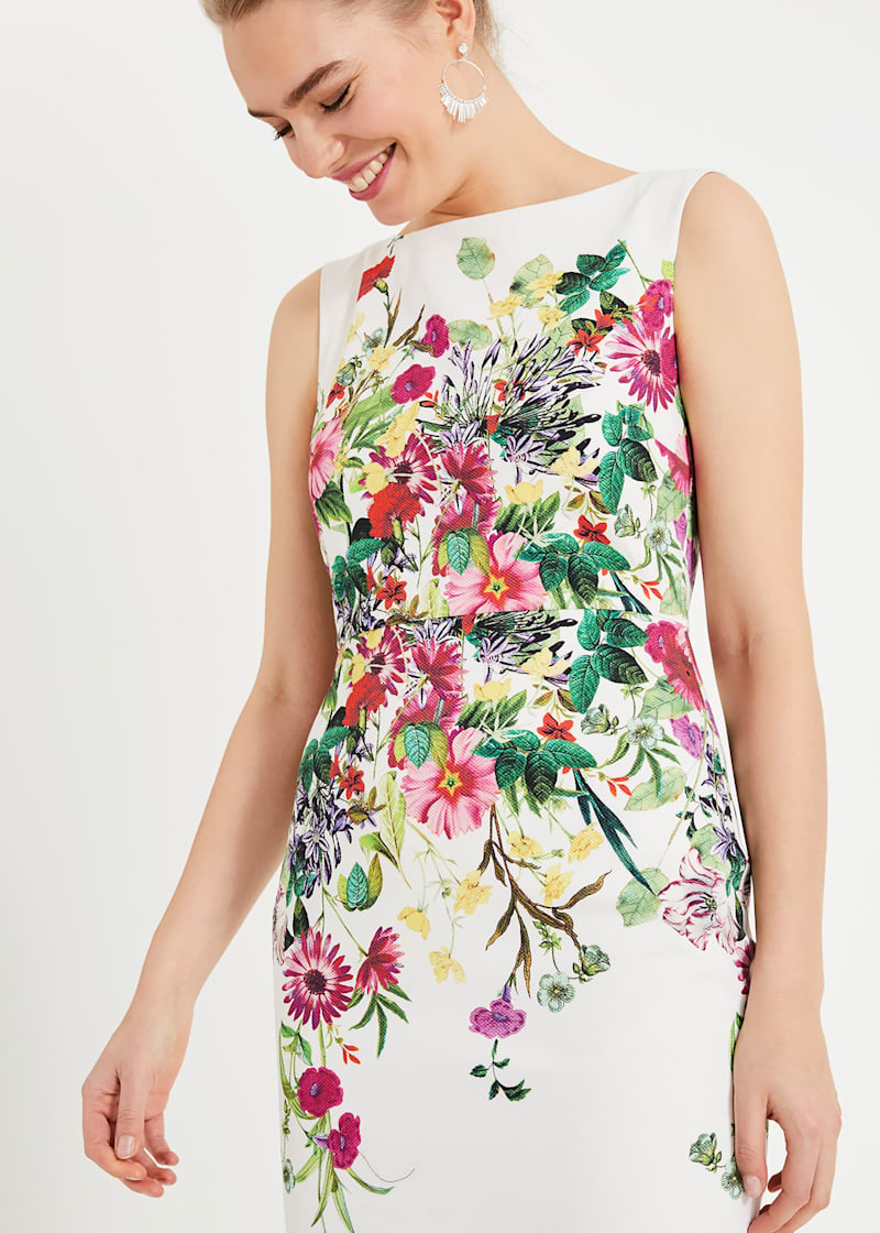 Phase eight fiona dress 2025