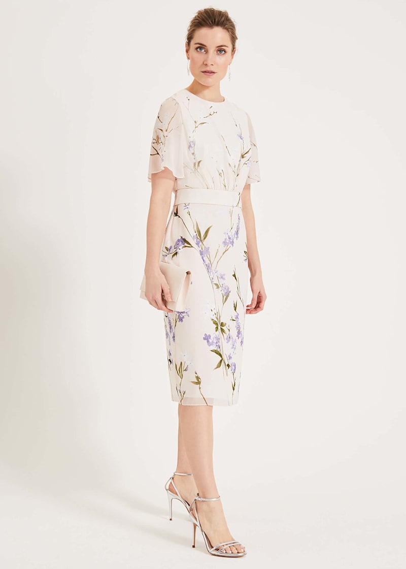 Phase eight eden dress cheap