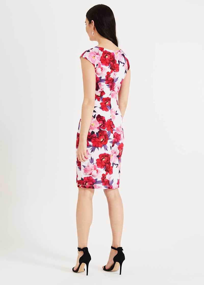 Phase eight elba dress store