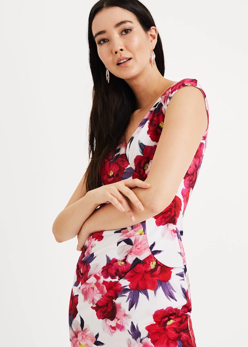 Phase eight elba clearance rose dress