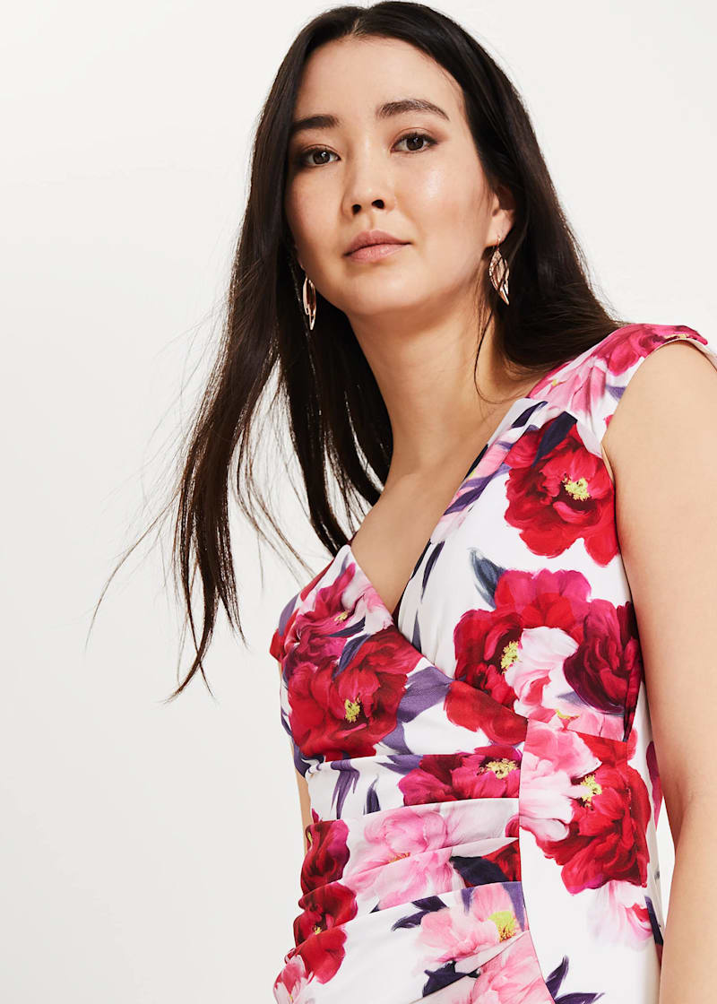 Phase eight elba dress store