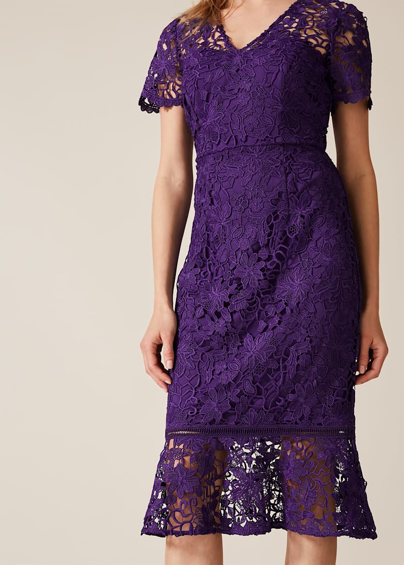 Phase eight clearance darena lace dress