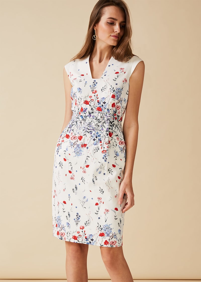 Phase eight new season dresses discount