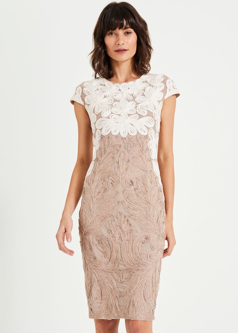 Phase eight cathleen dress on sale